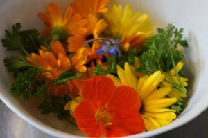 bowl-of-flowers