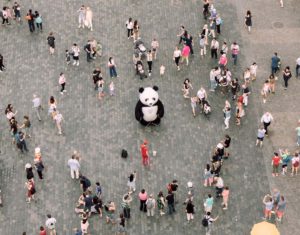 crowd-around-a-panda