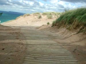 wooden-path-to-great-lake