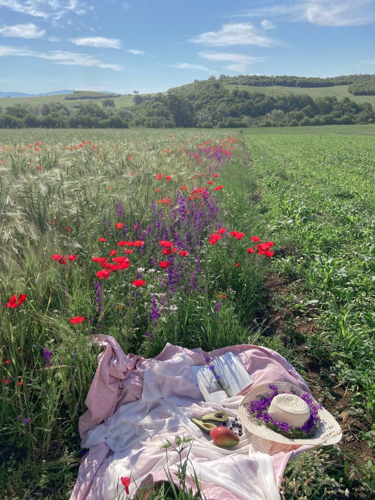 plaid with fruits and straw hat in field